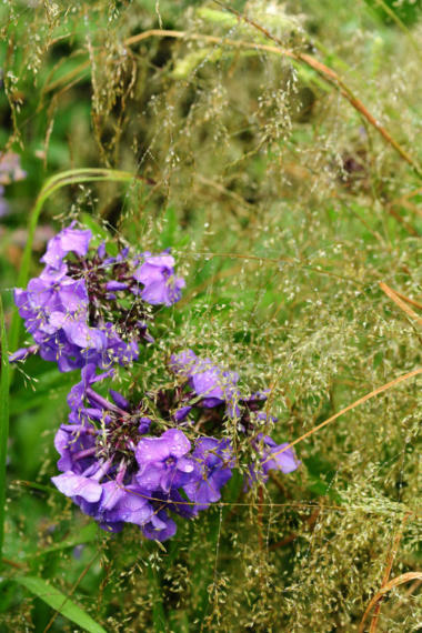 Image00107