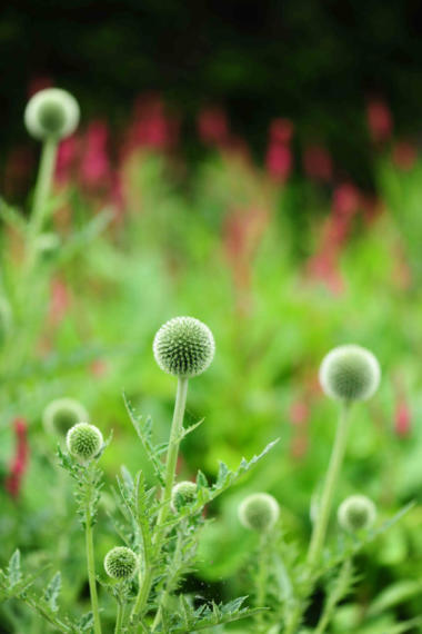 Image00111