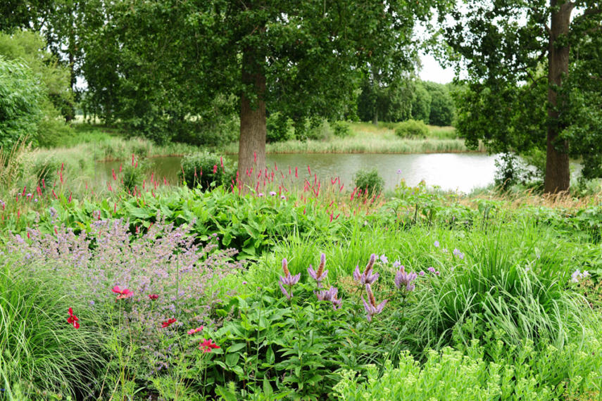 Image00116