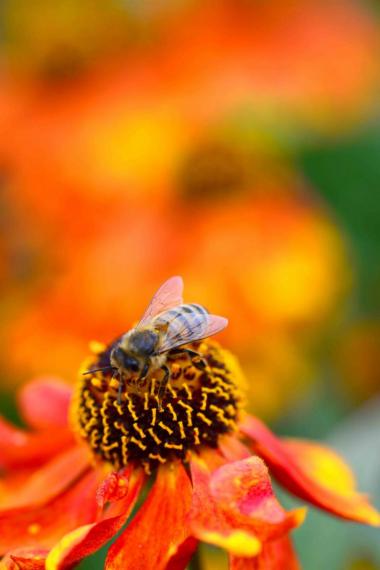 Image00001