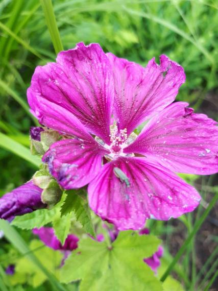 Image00010
