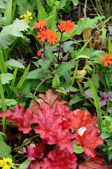 Image00010