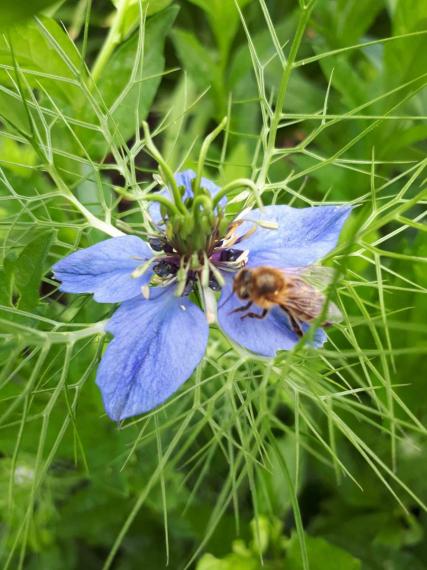 Image00012