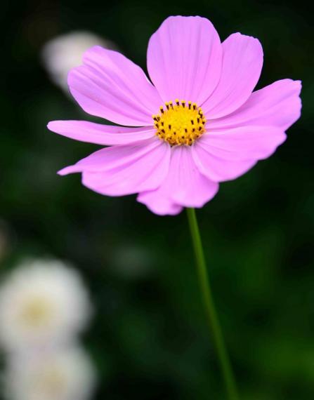 Image00015