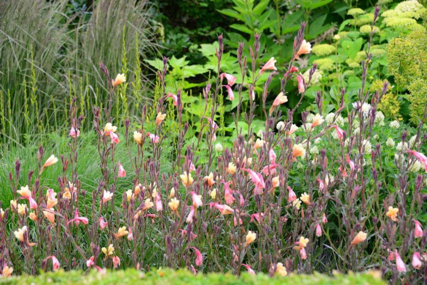 Image00016
