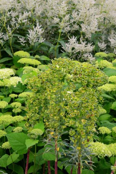 Image00017
