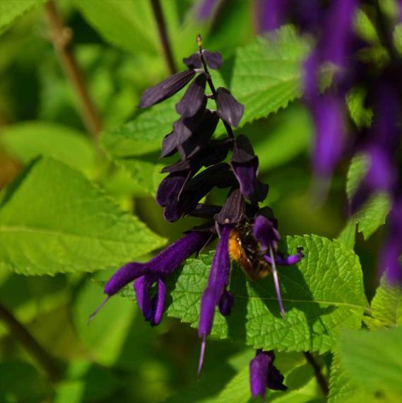 Image00018