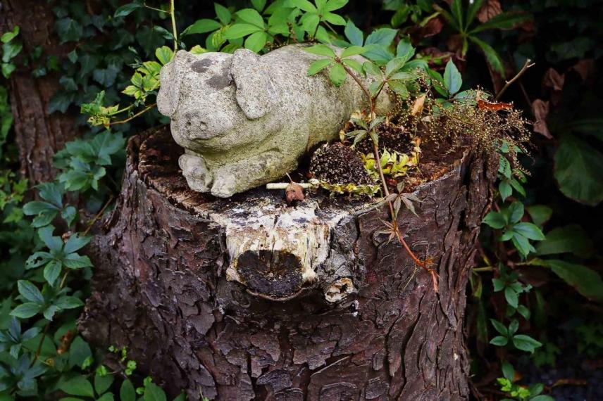 Image00019