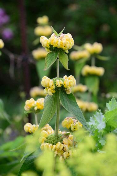Image00019