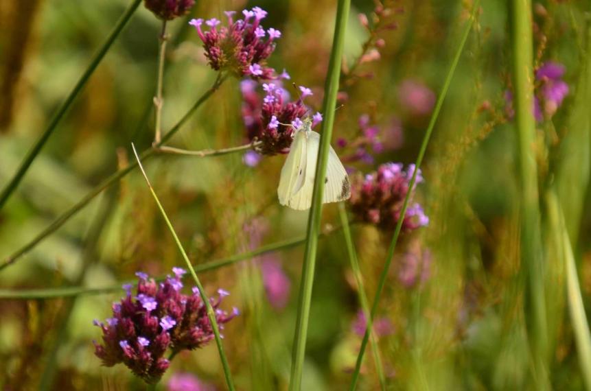 Image00020