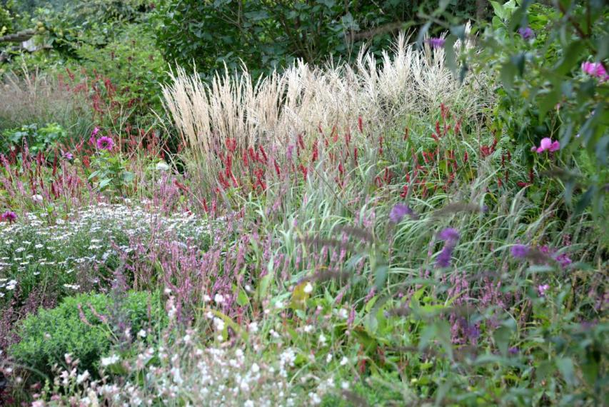 Image00022