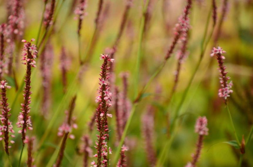 Image00026