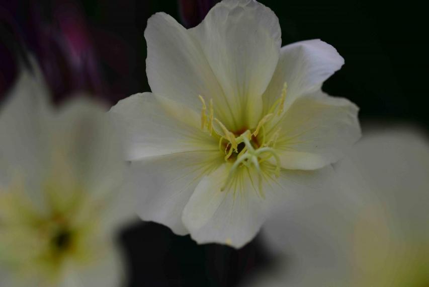 Image00035