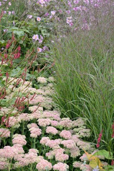 Image00038