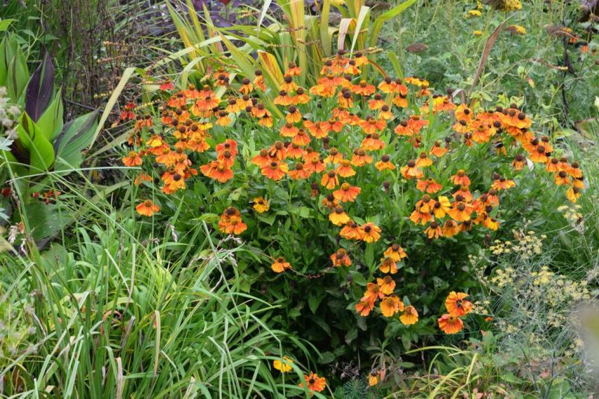 Image00042