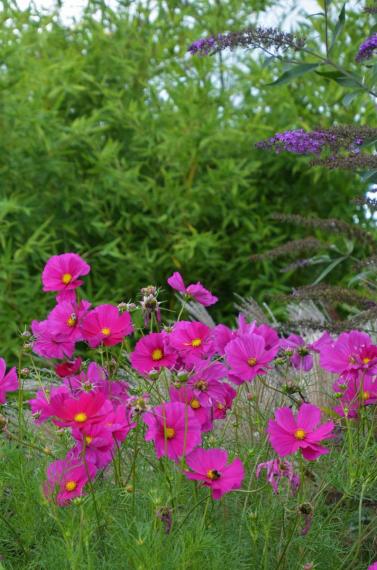 Image00060