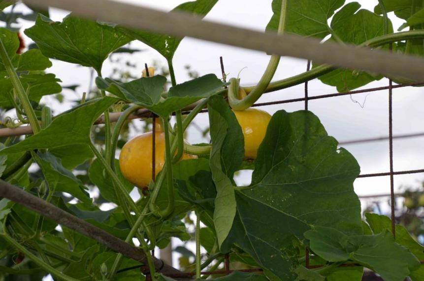 Image00067