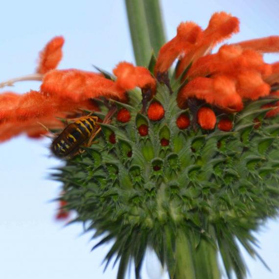 Image00088