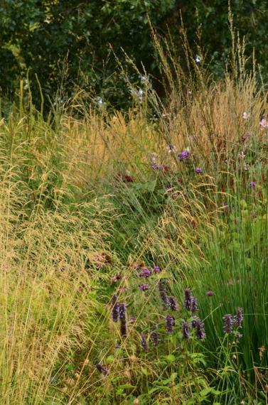 Image00106
