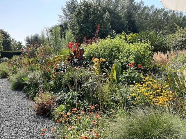 68752487_2310478039169692_5080434376836120576_n (Klein)