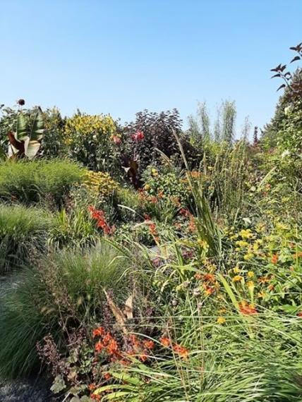 68923436_418904012375202_2179411511460495360_n (Klein)