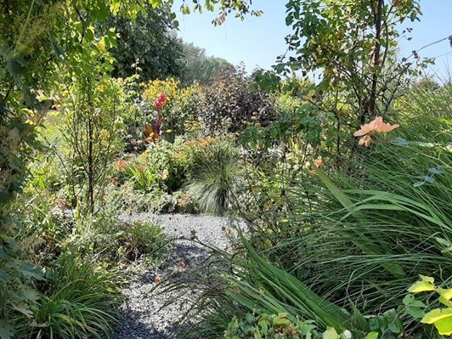 68961230_391437954845006_2525075560388886528_n (Klein)