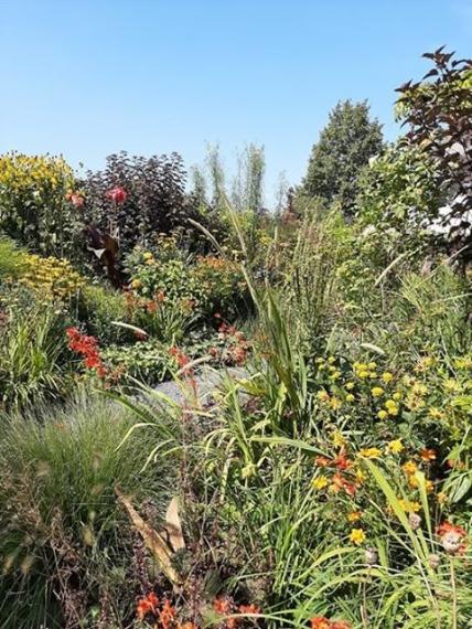 68975147_382549798981987_2330278950766379008_n (Klein)