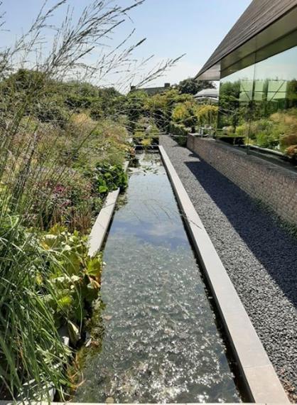 68993104_402463523961780_6326453437932240896_n (Klein)