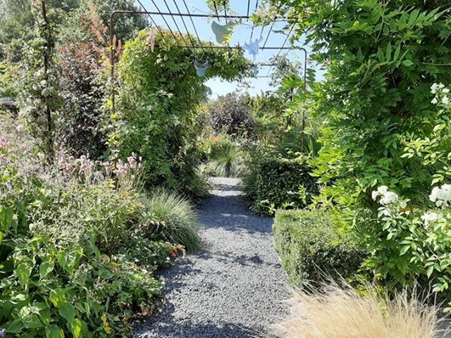 69003559_508811789932976_3806789854163894272_n (Klein)