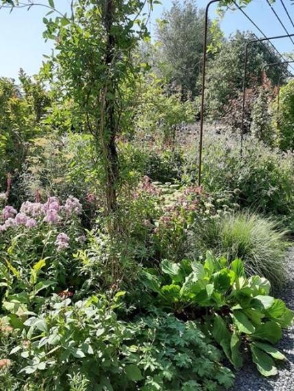 69068161_2365634823694919_5645918872063180800_n (Klein)