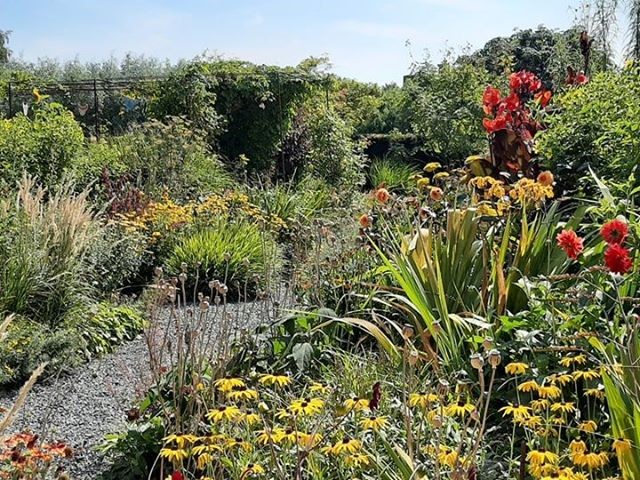 69089103_2999970070073497_5242266141799219200_n (Klein)