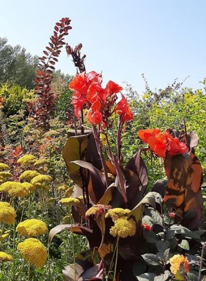 69096016_409595069671241_9221428362289872896_n (Klein)