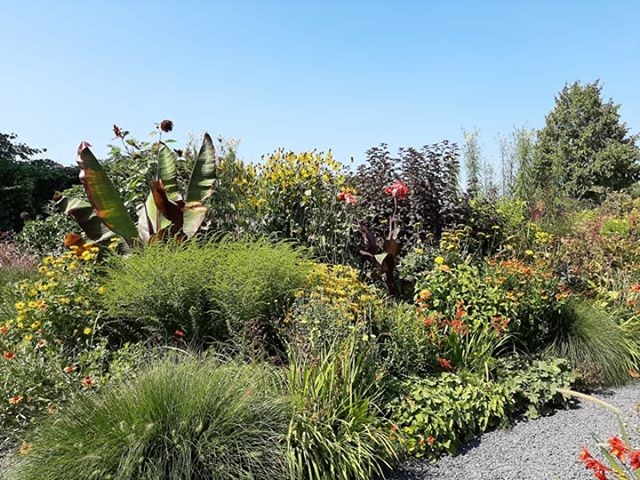 69113923_531669841000419_5456407709324673024_n (Klein)