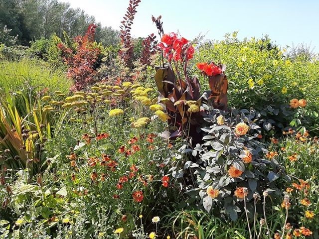 69233333_2078900509084793_1845564652730187776_n (Klein)