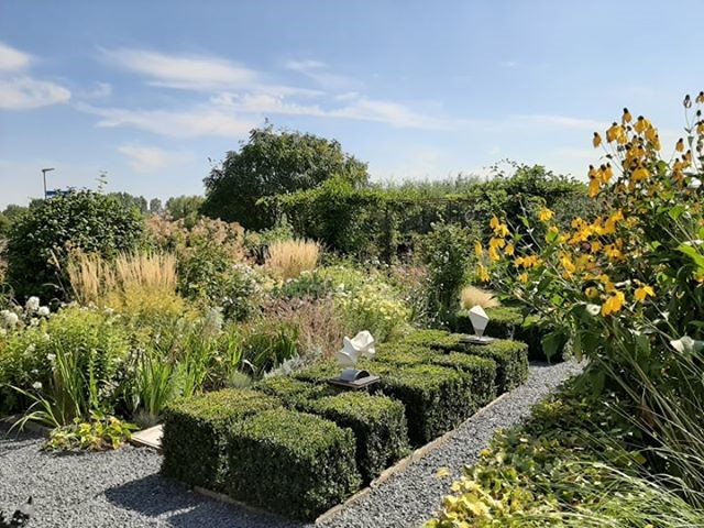 69263397_966446237046537_1975600435498582016_n (Klein)