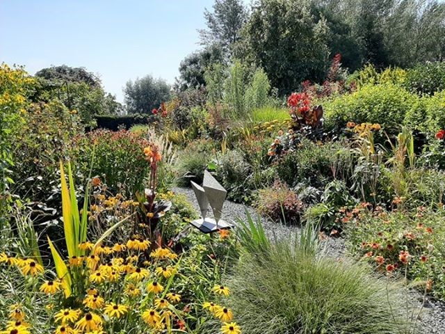 69529098_359661964977175_5257555808761151488_n (Klein)