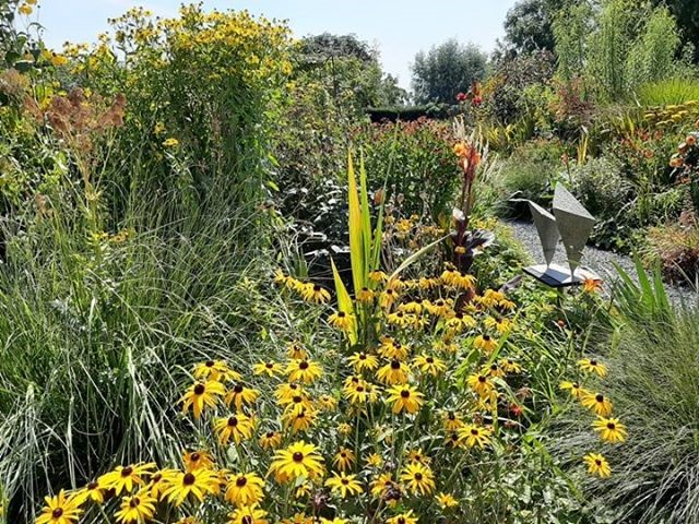 69676177_481740412657969_1241565639571668992_n (Klein)