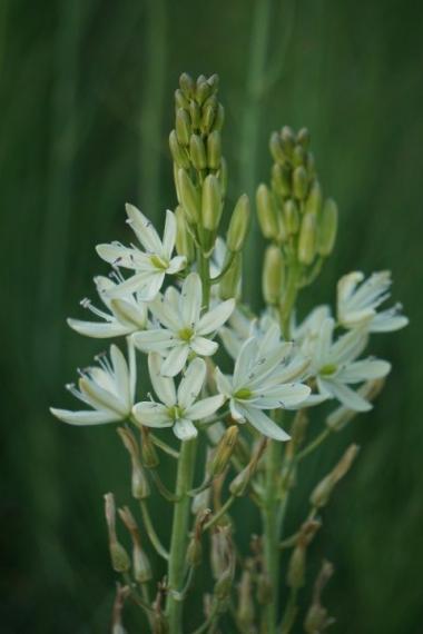 DSC09832 (Klein) - kopie