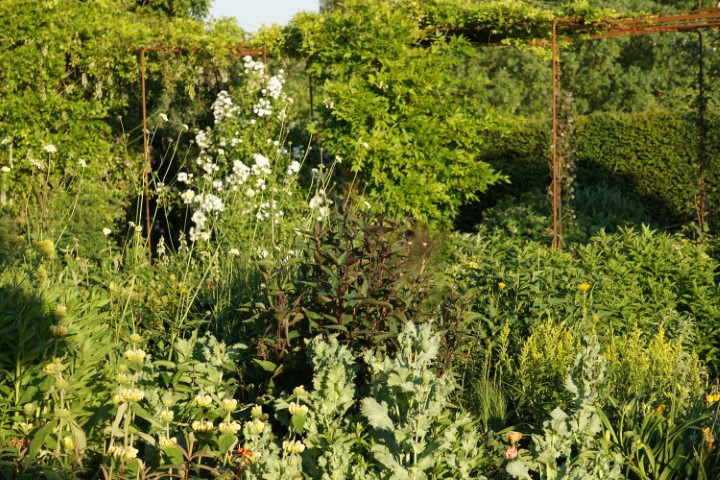 DSC09847 (Klein) - kopie