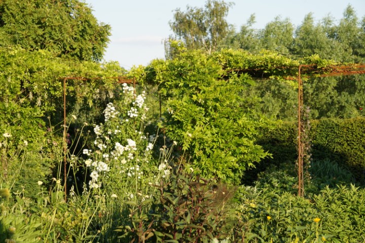 DSC09848 (Klein) - kopie