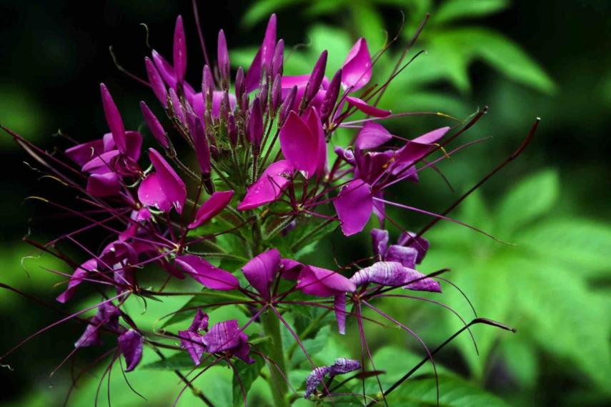 Image00027
